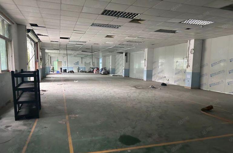 特价9.9元！塘厦田心标准3楼1500平厂房出租，实际面积！