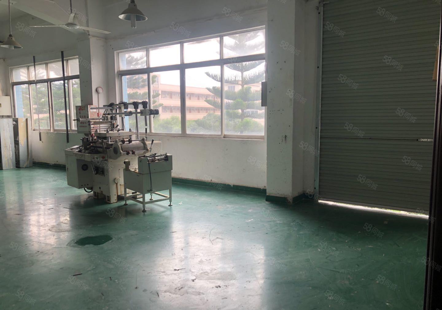 塘厦大坪高速口 原房东出租楼上450平现成精装修 无公摊