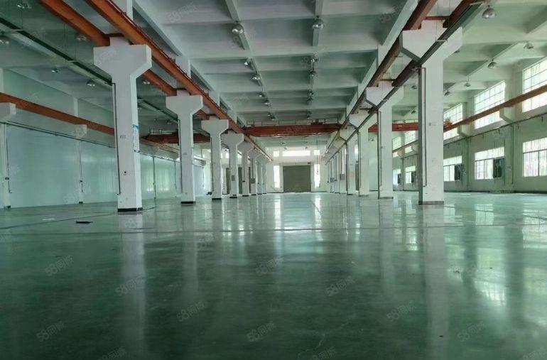 12元一手房东！塘厦田心新出楼上6000平厂房出租拎包生产。