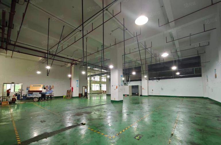 塘厦一楼1000平层高6.5米，带阁楼办公室，水电已到车间形