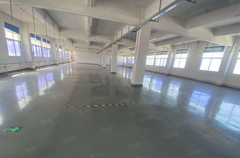 塘厦科苑城标准楼上980平方！无公摊！蹭亮地坪漆精装修