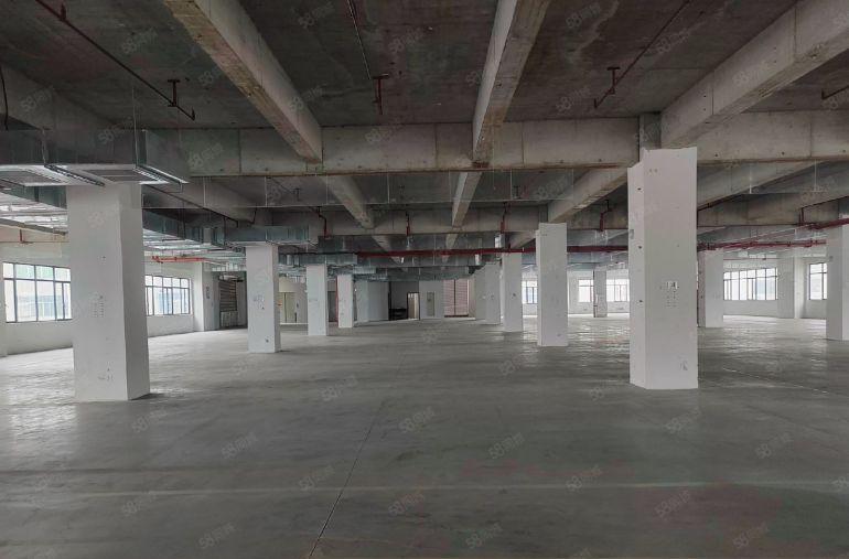 塘厦零公摊  全新原房东独院标准厂房出租50000平方米