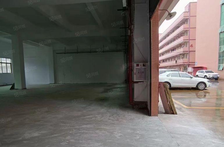 塘厦莲湖一楼实际面积450平6米高的厂房招租，价格实惠