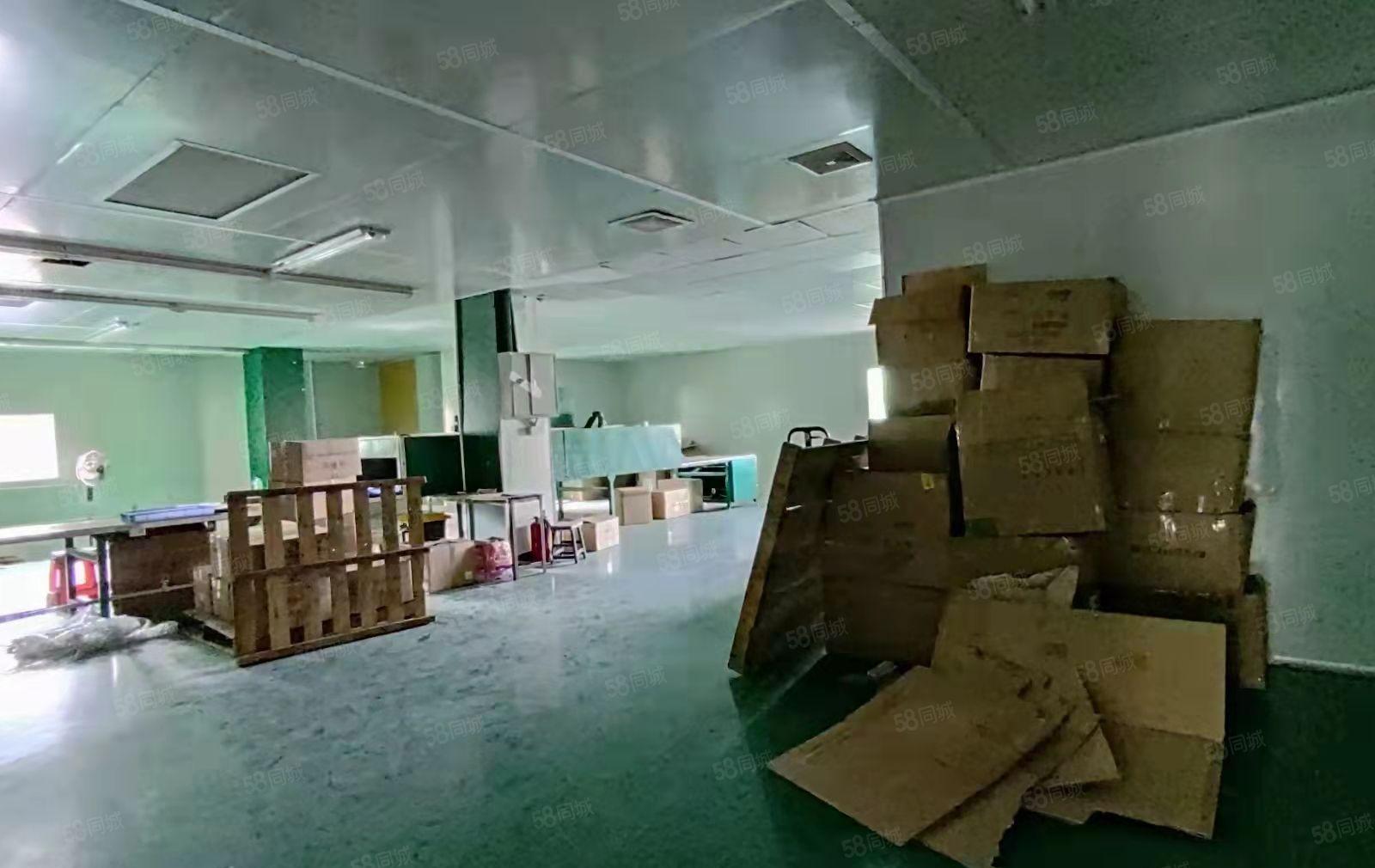 塘厦镇沙湖新出一楼260平米出租