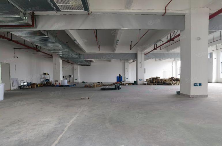 科苑城新出全新厂房仓库1150平方出租，豪华装修，