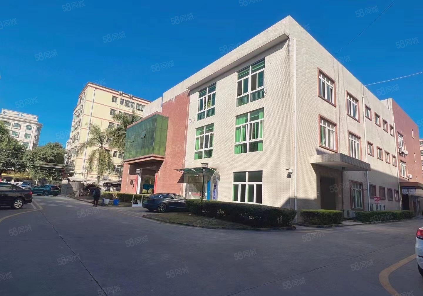 塘厦田心新出一楼800平方，适合各种行业