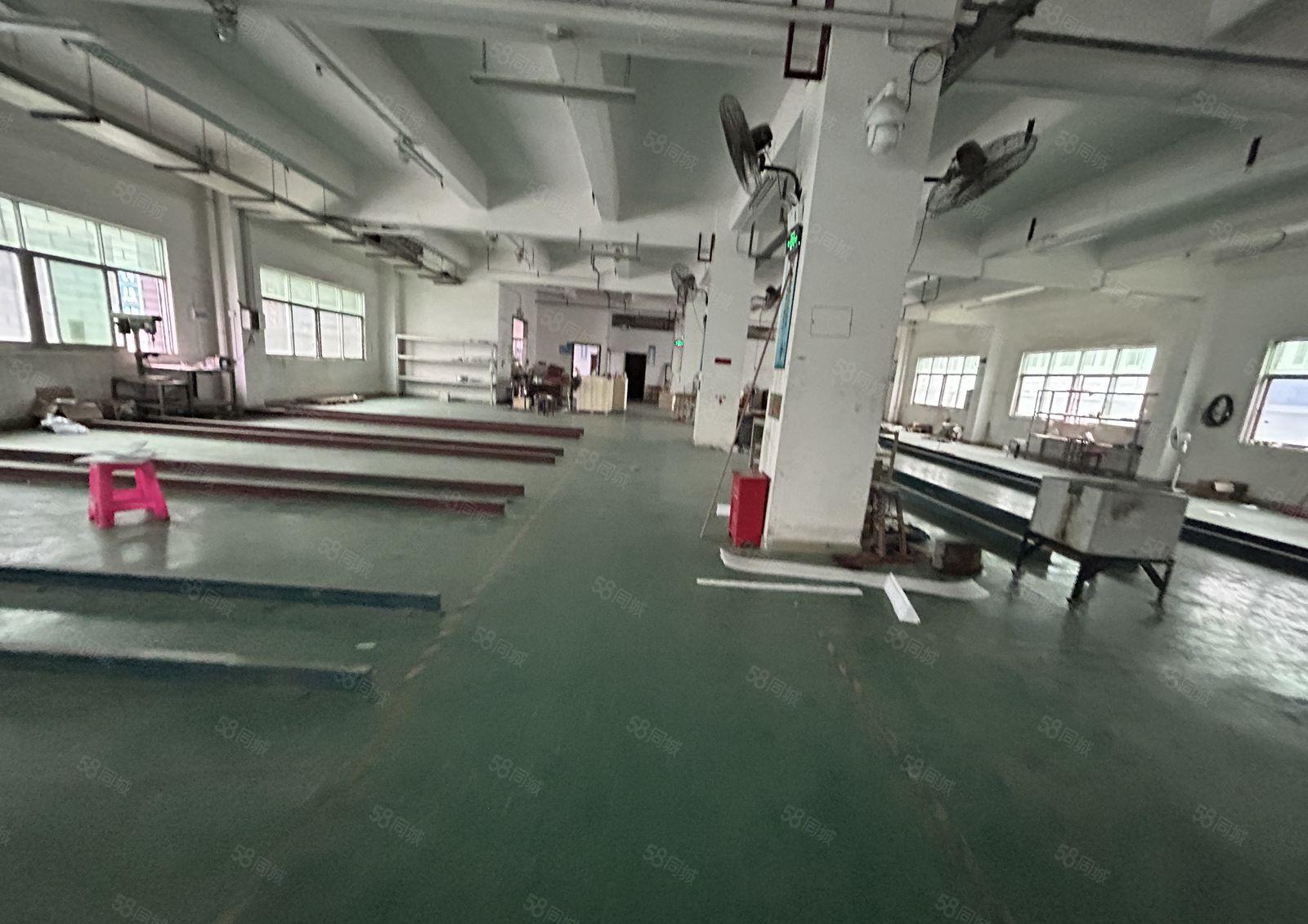 塘厦石鼓标准1楼1400平方，面积实在，消防合格，可分租！