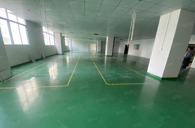 塘厦林村太阳城标准2楼800平方！现成办公室装修，无公摊