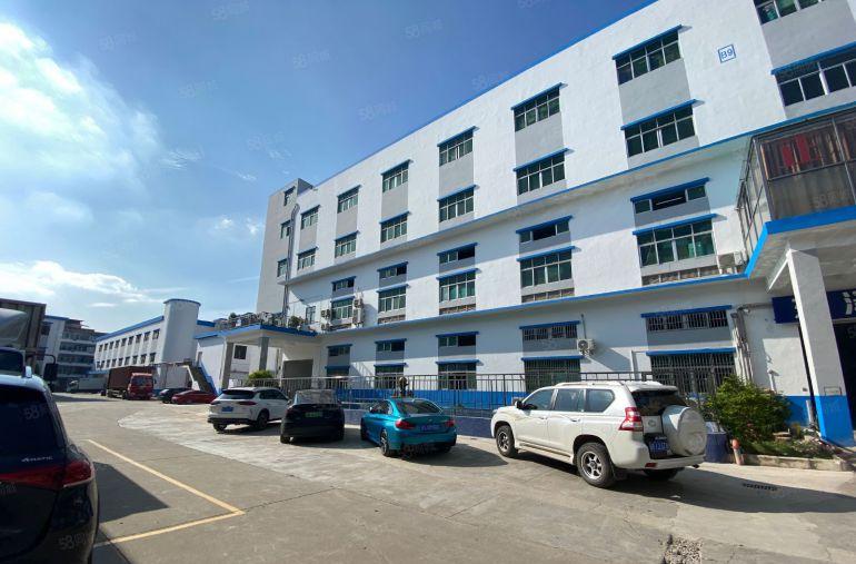 塘厦四村新出厂房一楼2000平层高6米特价全新地坪漆