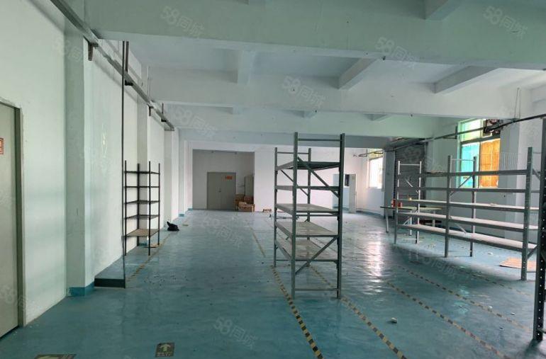 塘厦石马近深圳楼上500平实际面积，现成办公室装修厂房出租