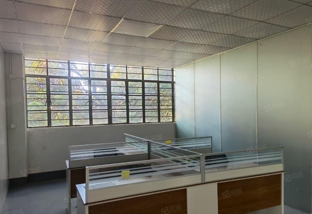 新出沙湖楼上520平租19元，精装修，挺车位充足