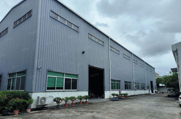 塘厦蛟乙塘钢构独院3180平方，10米高带牛角有现成办公室