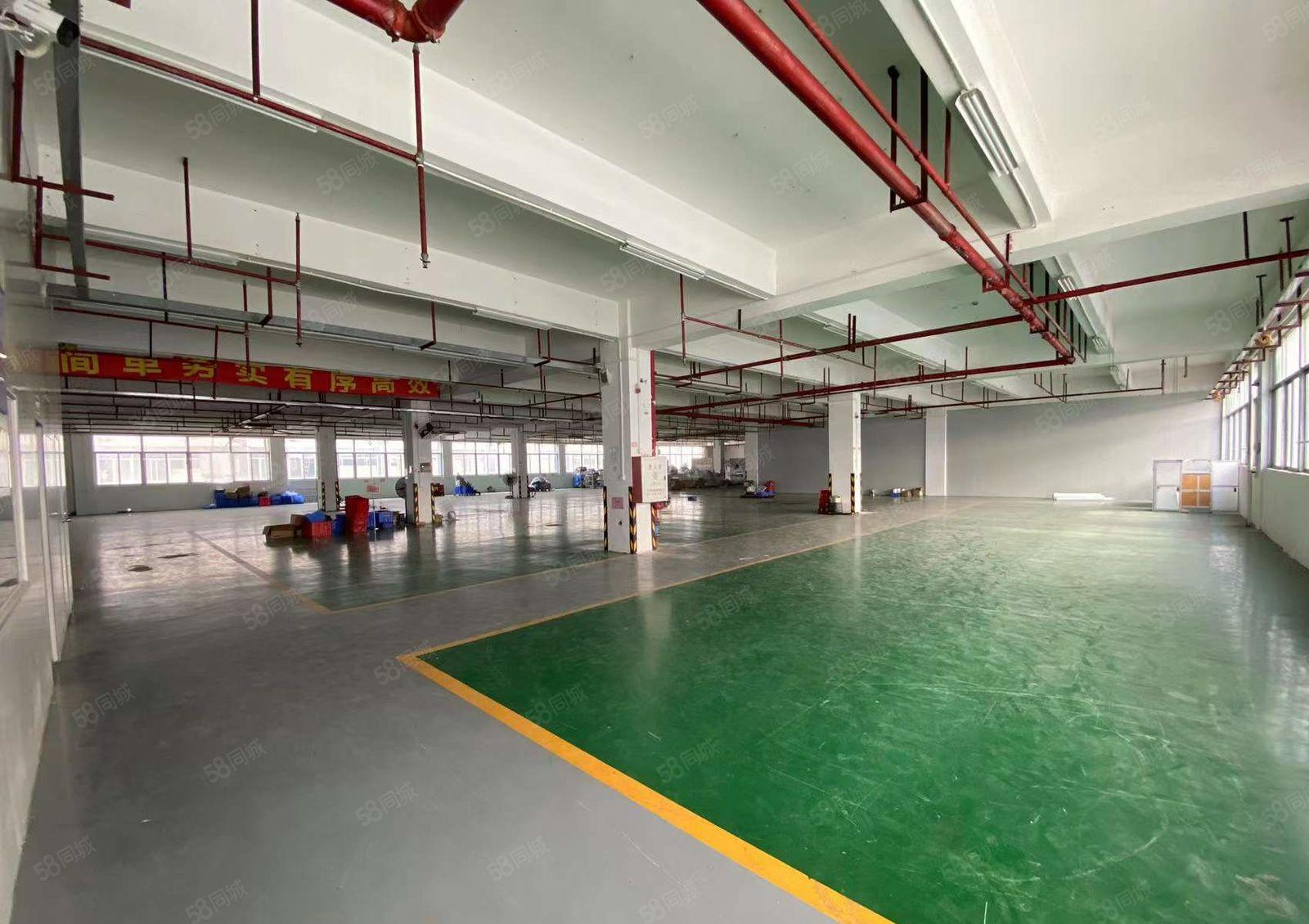 500平起塘厦林村工业园厂房仓库出租，带喷淋证件全水电到车间