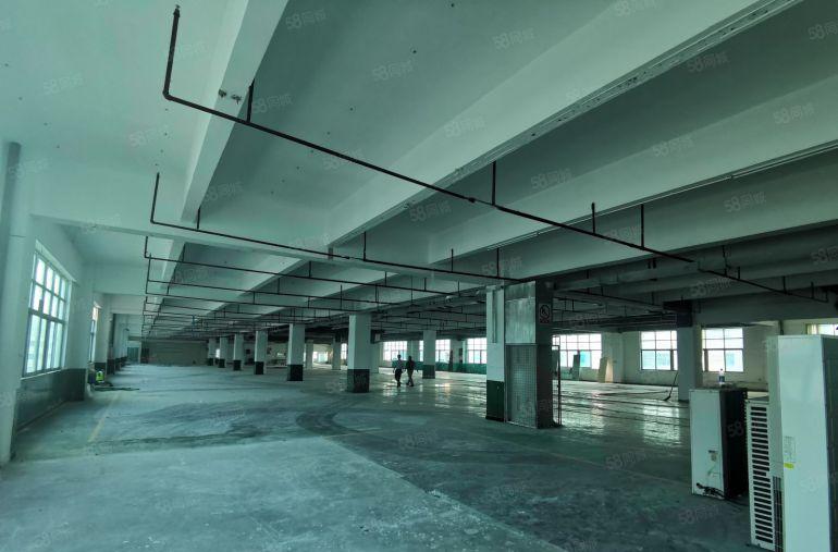 塘厦石鼓工业区800红本平方红本厂房出租可分租，可办环评