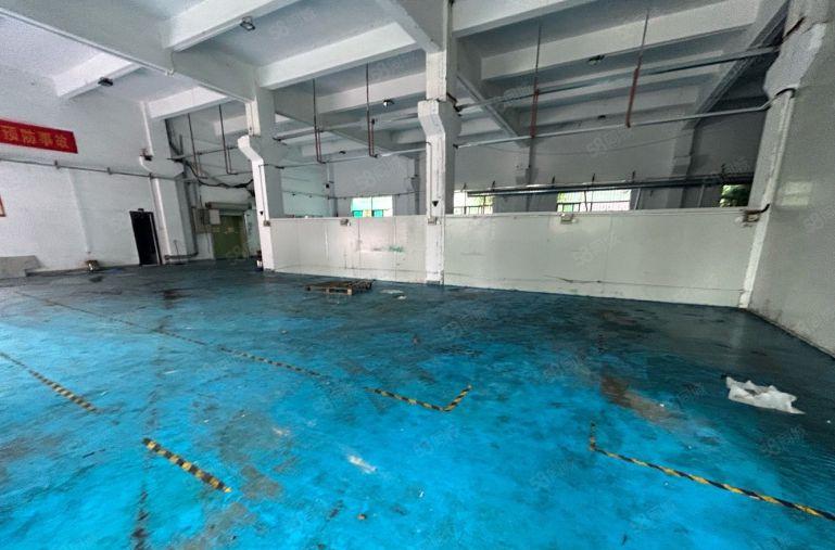 塘厦外环高速旁标准1楼800平方！高6米，可架行车