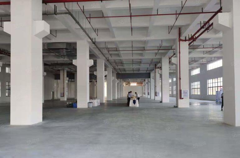 塘厦科苑城新出原房东50000平独门独院厂房仓库出租,可分租