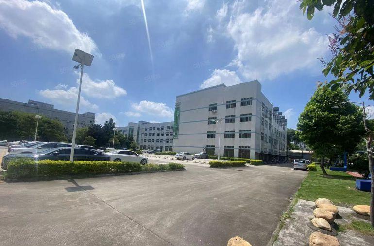 0公摊塘厦全新豪华装修楼上980平方