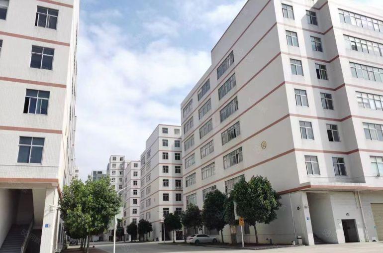 塘厦外环高速口石鼓新出村委楼上4000平厂房仓库出租，大小分