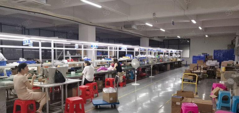 塘厦凤凰岗原房东直租5楼2000平，全层豪华装修，无需转让费