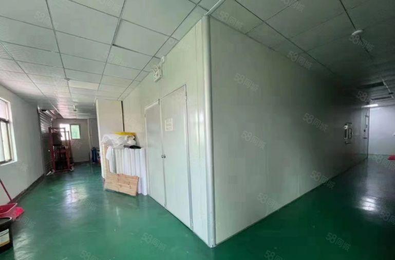 塘厦林村新出独院无尘车间厂房420平，价格优惠出租！