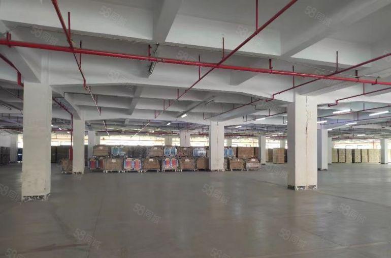 塘厦清湖头新空出独栋厂房20000平方，15元特价招租