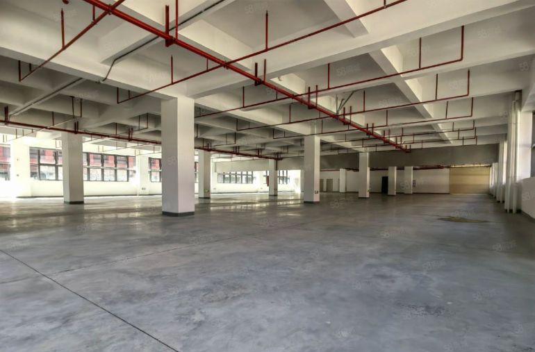 业主直租，塘厦国有双证厂房出租，896平起分租，环境美形象好