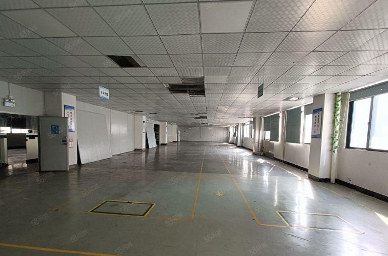 塘厦高速口新出原房东楼上1000平精装修厂房仓库出租，可分租