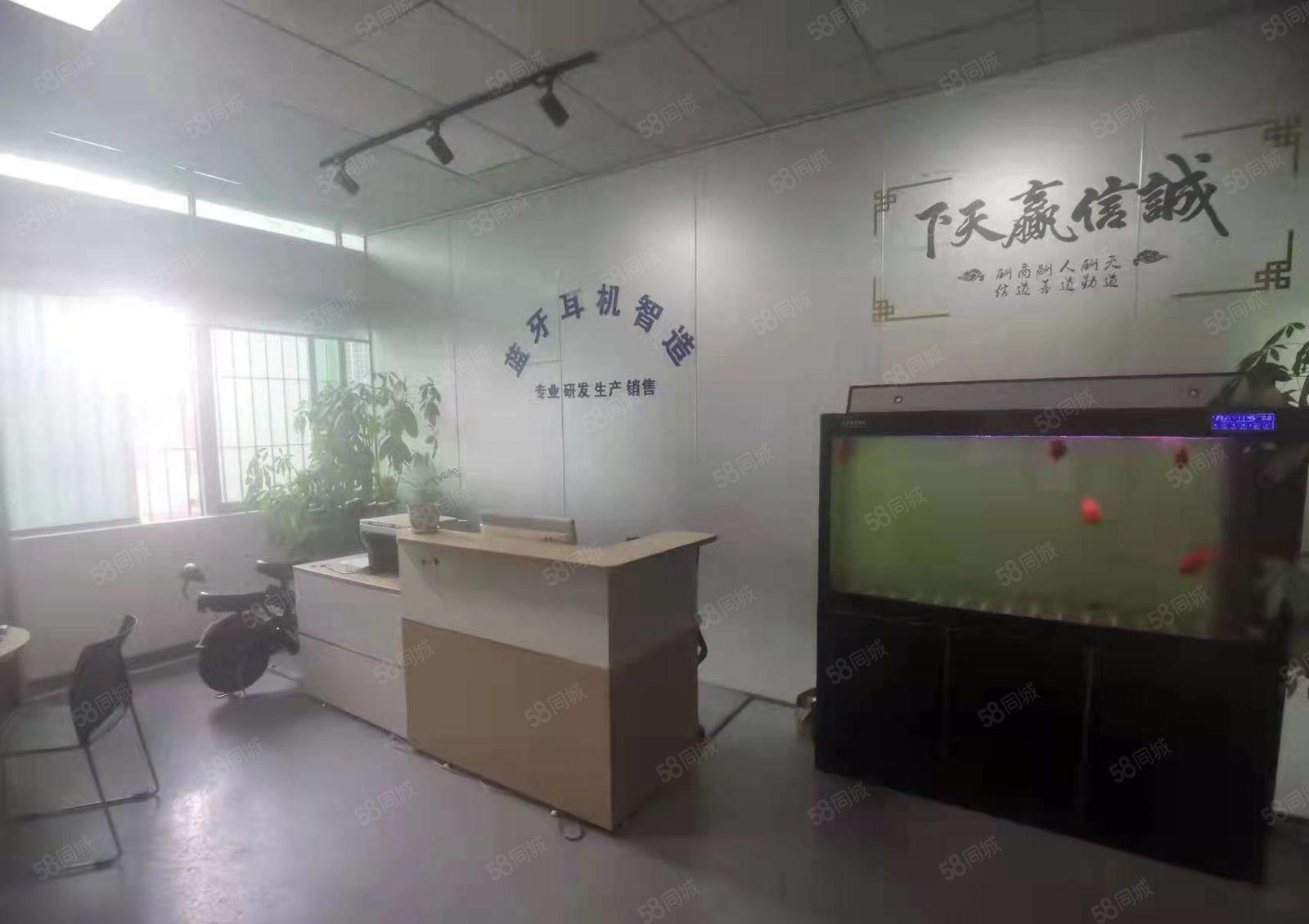 东莞塘厦新出标准厂房 楼上600平方出租