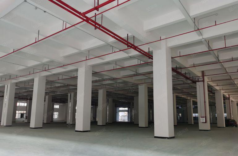 塘厦镇40000平方全新红本独门独院高薪企业厂房招商