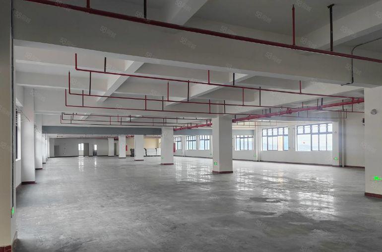 塘厦零公摊带红本原房东独院标准厂房出租50000平带消防