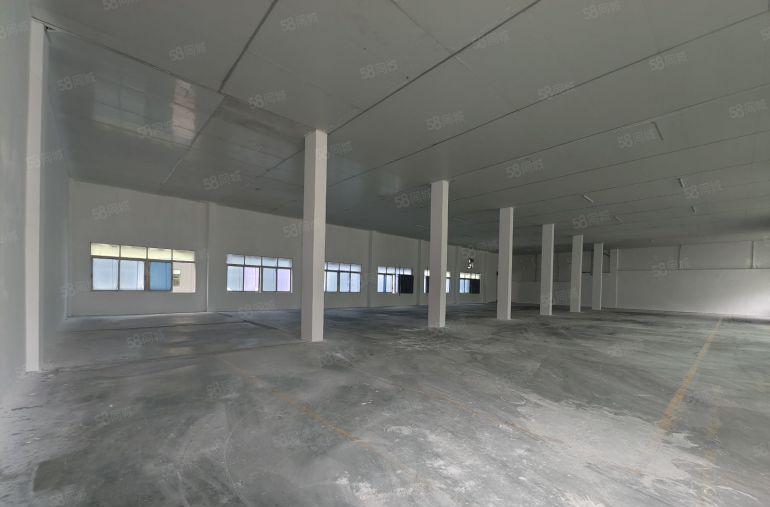 塘厦镇原房东滴水6米独门独院单一层6000平方，可分租