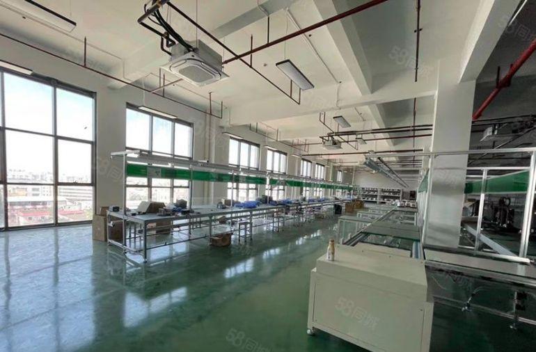 塘厦临深红本厂房尾盘低价出租！带装修水电消防喷淋3吨货梯拎包