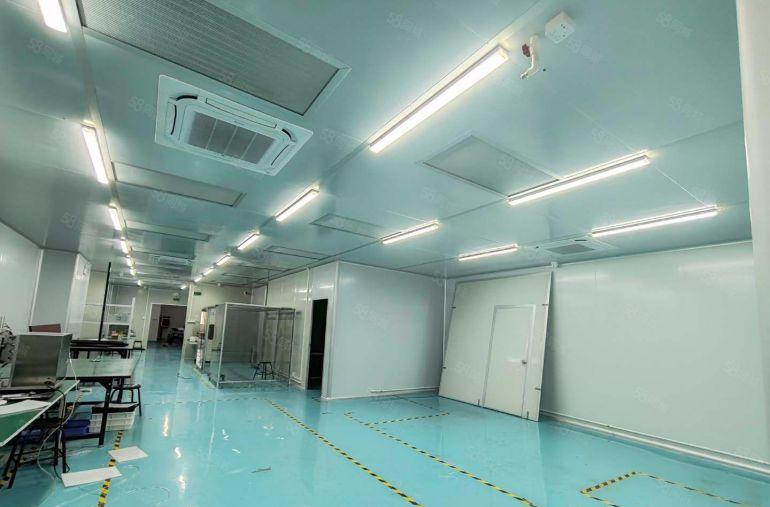 特价出租楼上520平无尘小面积 零公摊厂房 精装修 近高速口