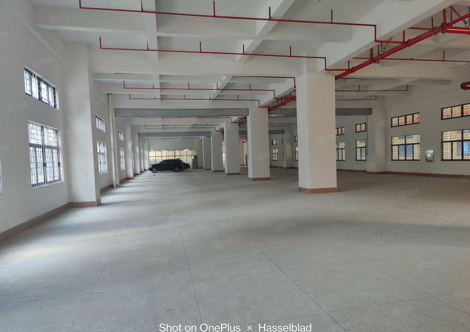 1000起租塘厦高速路口12万平电商物流园带卸货平台消防喷淋