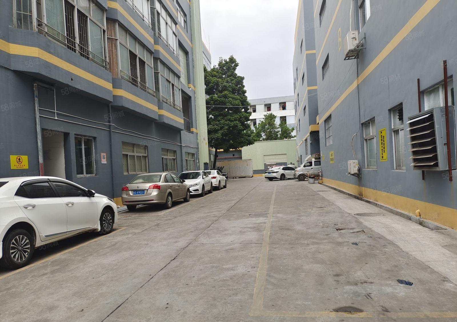 东莞塘厦镇横塘新出一楼厂房，面积是1200平方，高度有5米