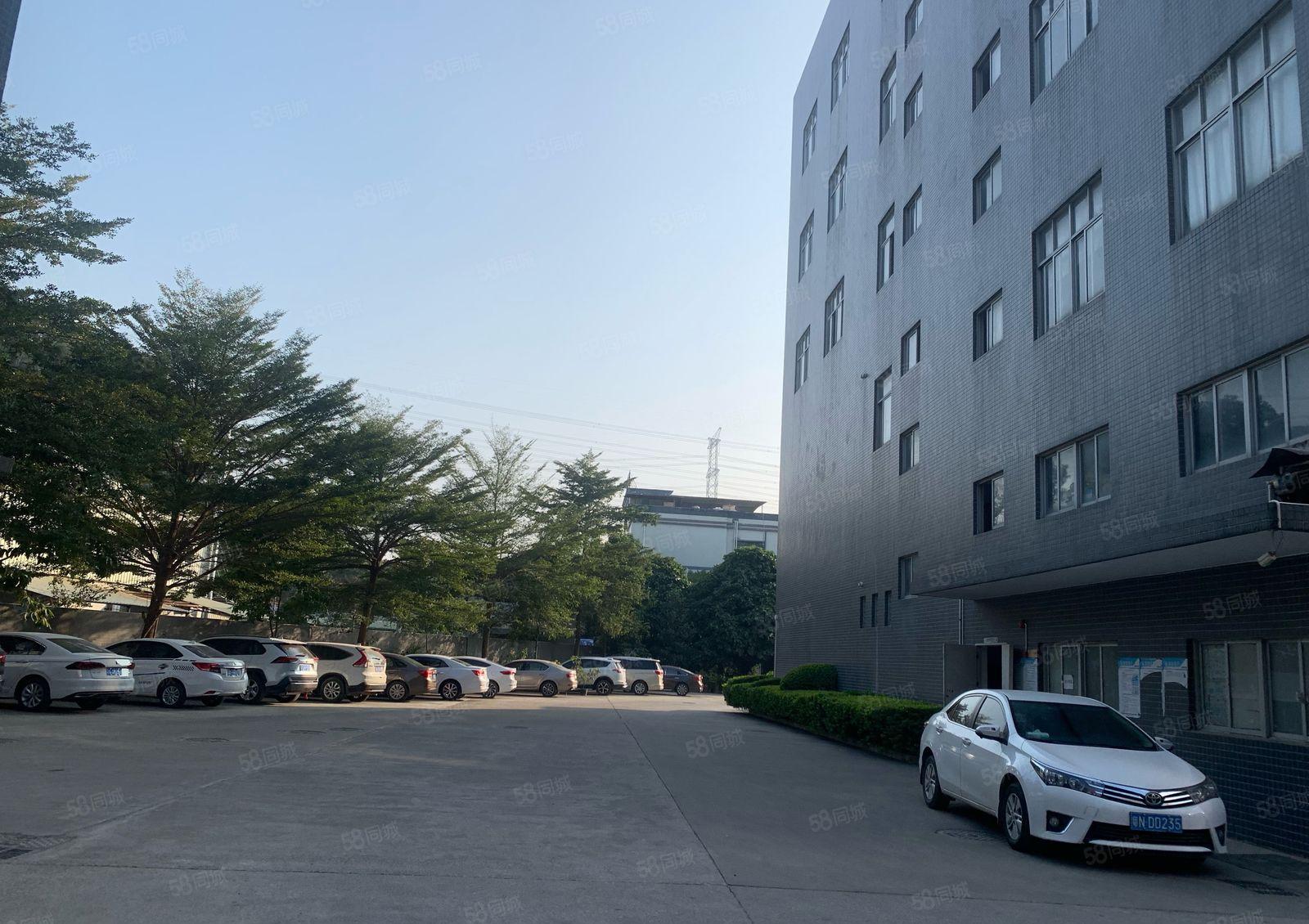 塘厦原房东厂房楼上2000平出租