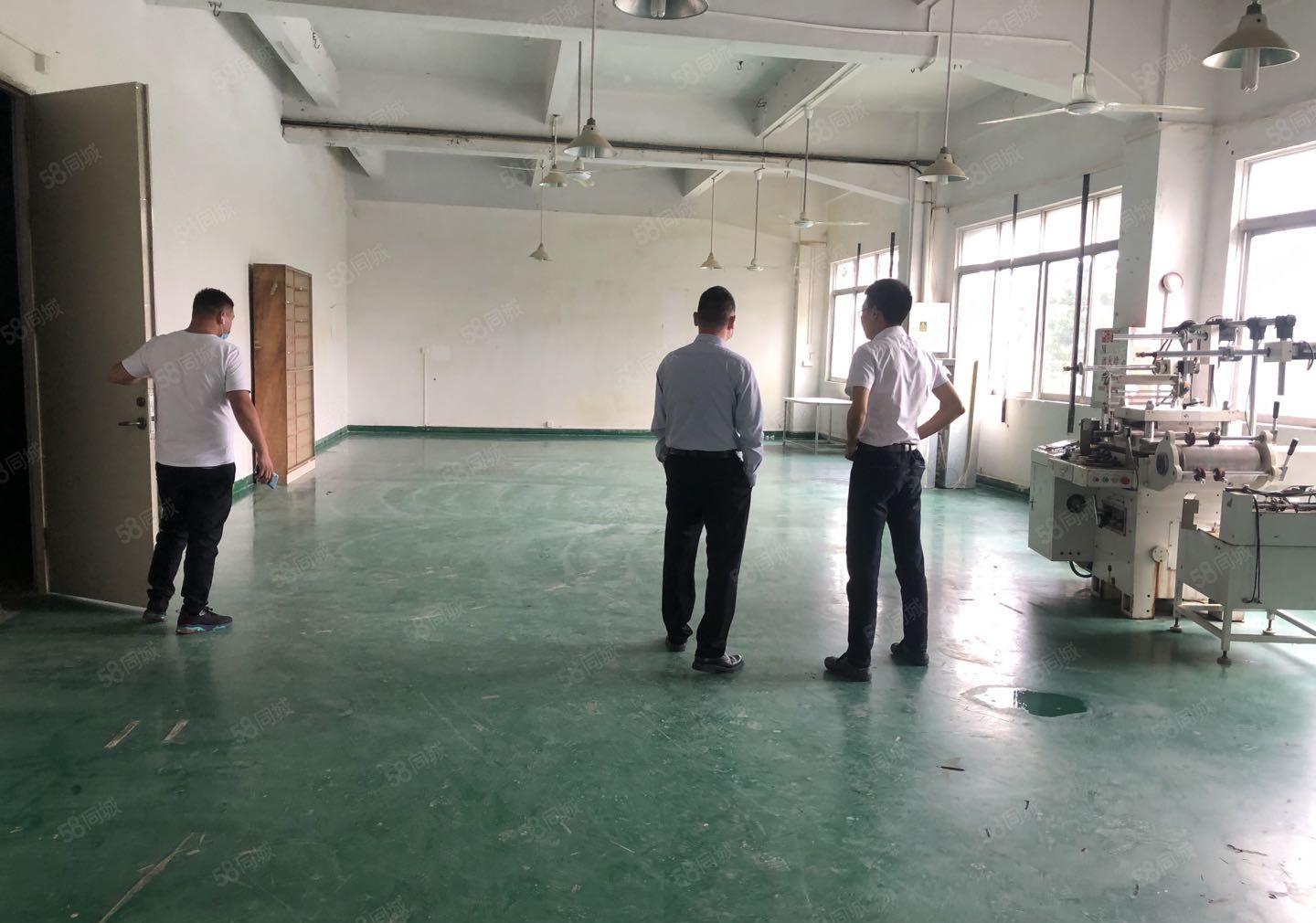 塘厦大坪高速口 原房东出租楼上450平现成精装修 无公摊