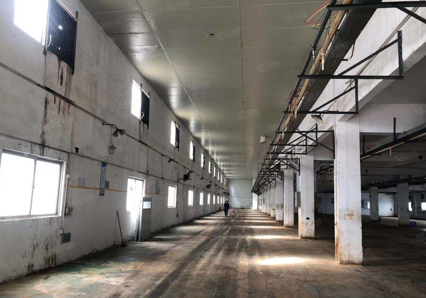 塘厦原房东标准一楼厂房1843平米出租大小可分租