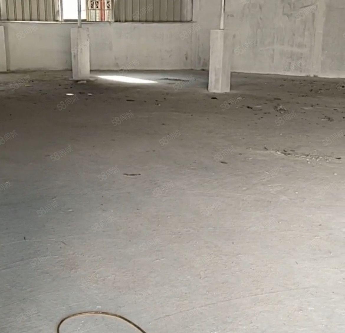 塘厦全新独栋小厂房338平 单一层 钢构