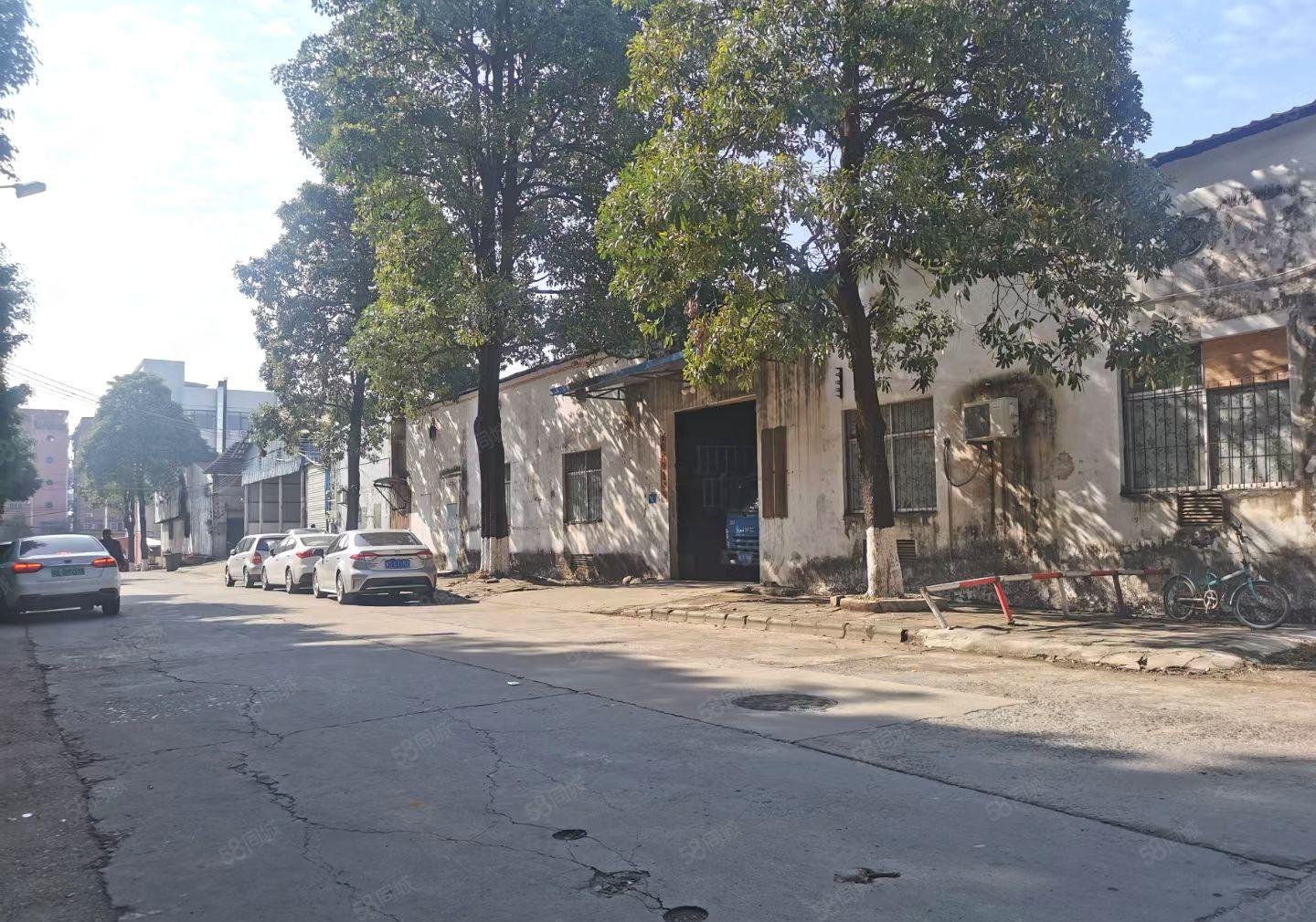 塘厦横塘新出临街钢构700平方出租，滴水6米，现成办公室