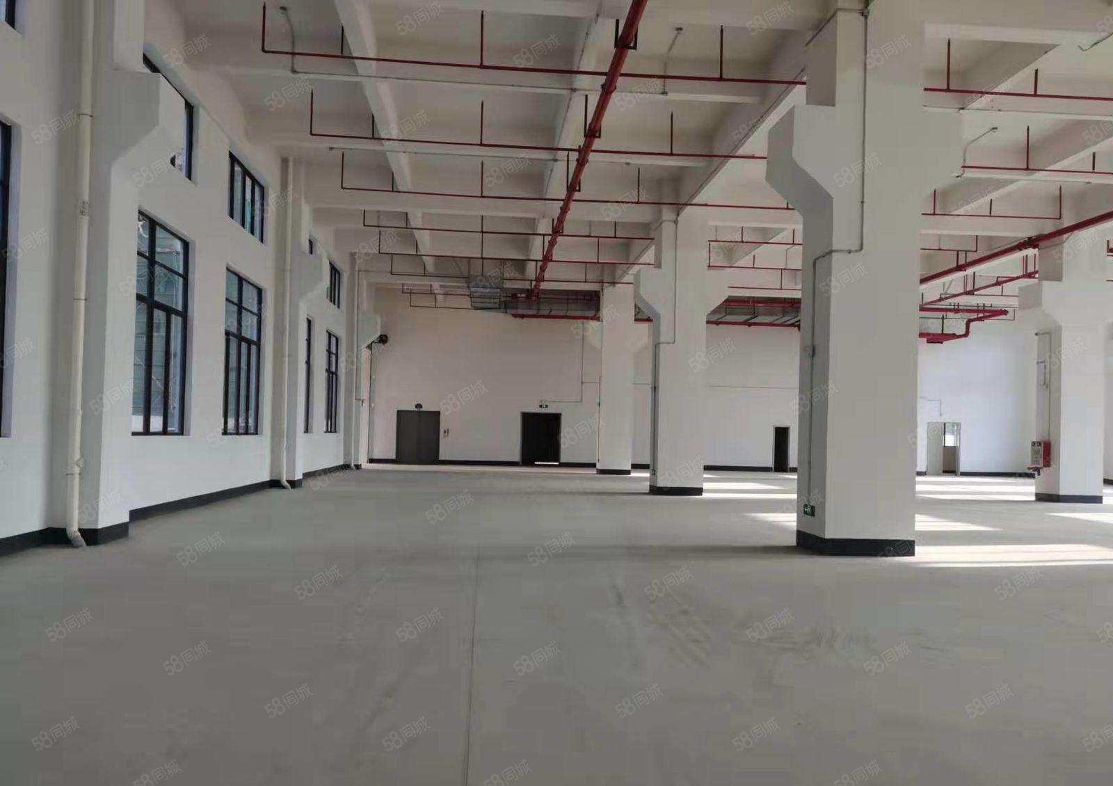 塘厦清湖头一楼6.5米高1500平带牛角可办环评厂房仓库出租