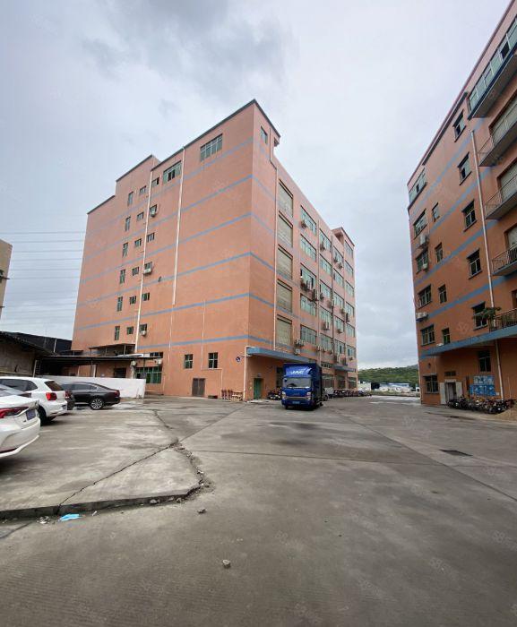 塘厦平山原房东直租标准1楼1400平方，高度6米，带有牛角！