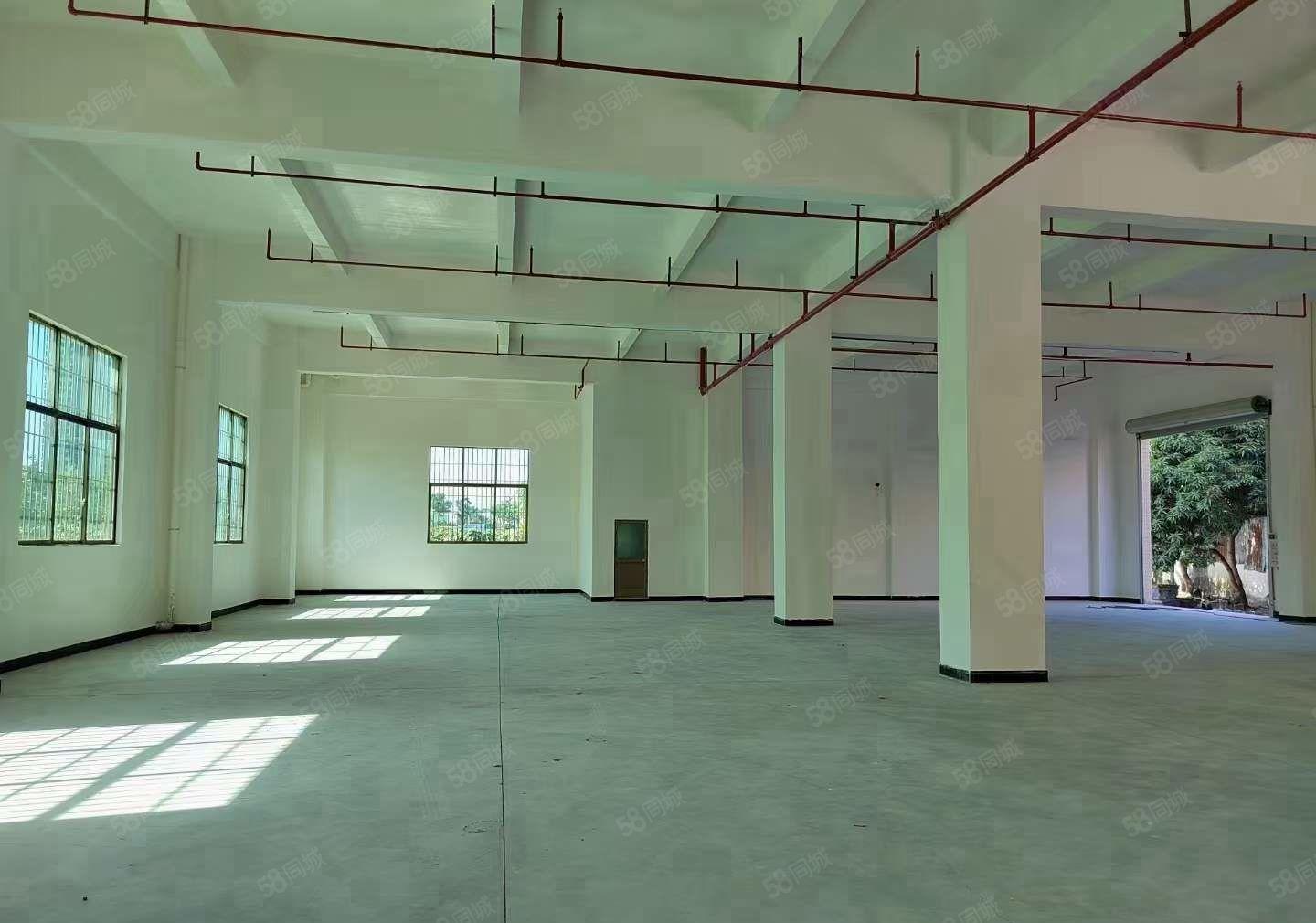 可做电池不限行业!一手房东全新独栋厂房出租780平多层可整租