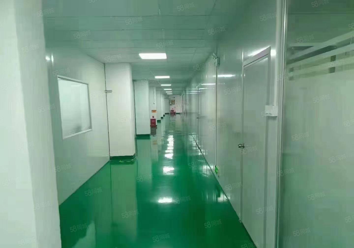 塘厦大坪高速出口旁边原房东独栋9600平无尘车间无转让费