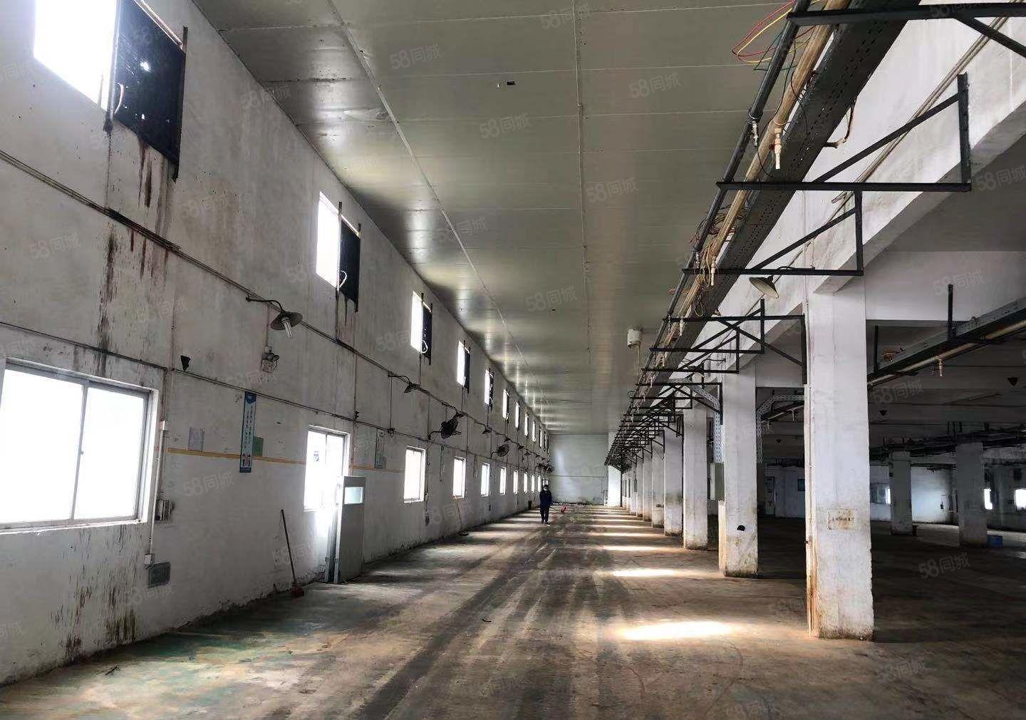 塘厦原房东厂房出租，2楼实积面积是1196.47平方