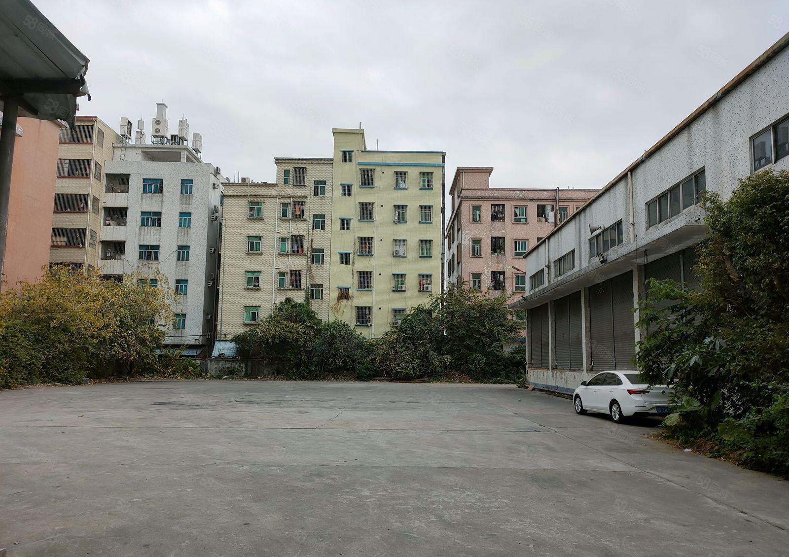 塘厦镇科苑城原房东钢构独院10米高，空地6000平，