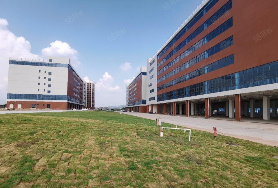 塘厦中心石鼓新出村委楼上4800平厂房仓库出租，形象好空地大