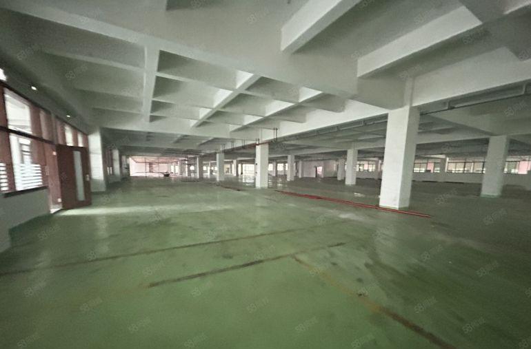 原房东直租标准2楼6500平方！无公摊！现成格局装修