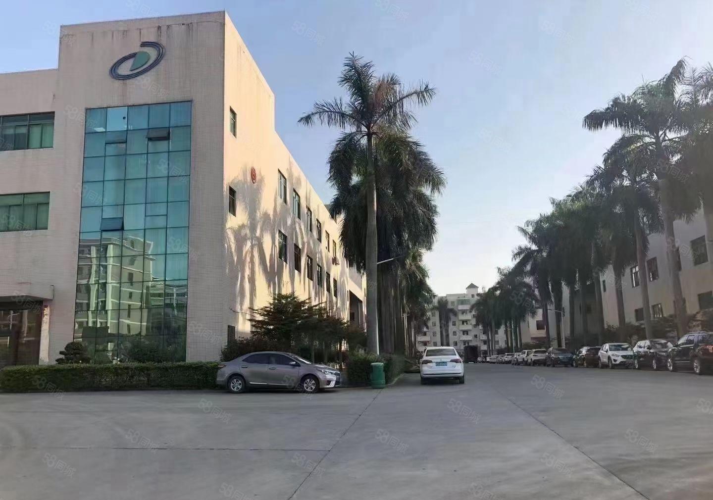 塘厦大坪高速出口旁边原房东独栋9600平无尘车间无转让费