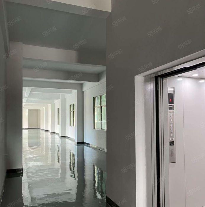 行业不限~塘厦凤凰岗1楼450平租16.9！全新装修大车好进